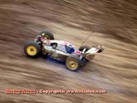 CFB 1/8 Buggy
