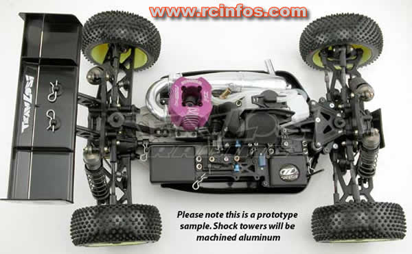 Losi 1/8 Buggy Eight