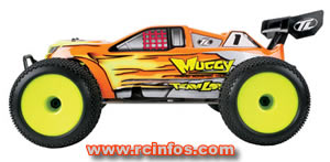 Team Losi Muggy