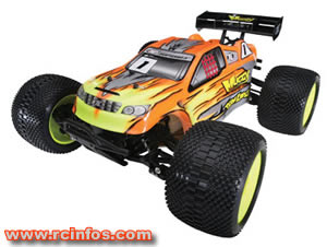 Team Losi Muggy