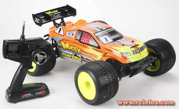 Team Losi Muggy